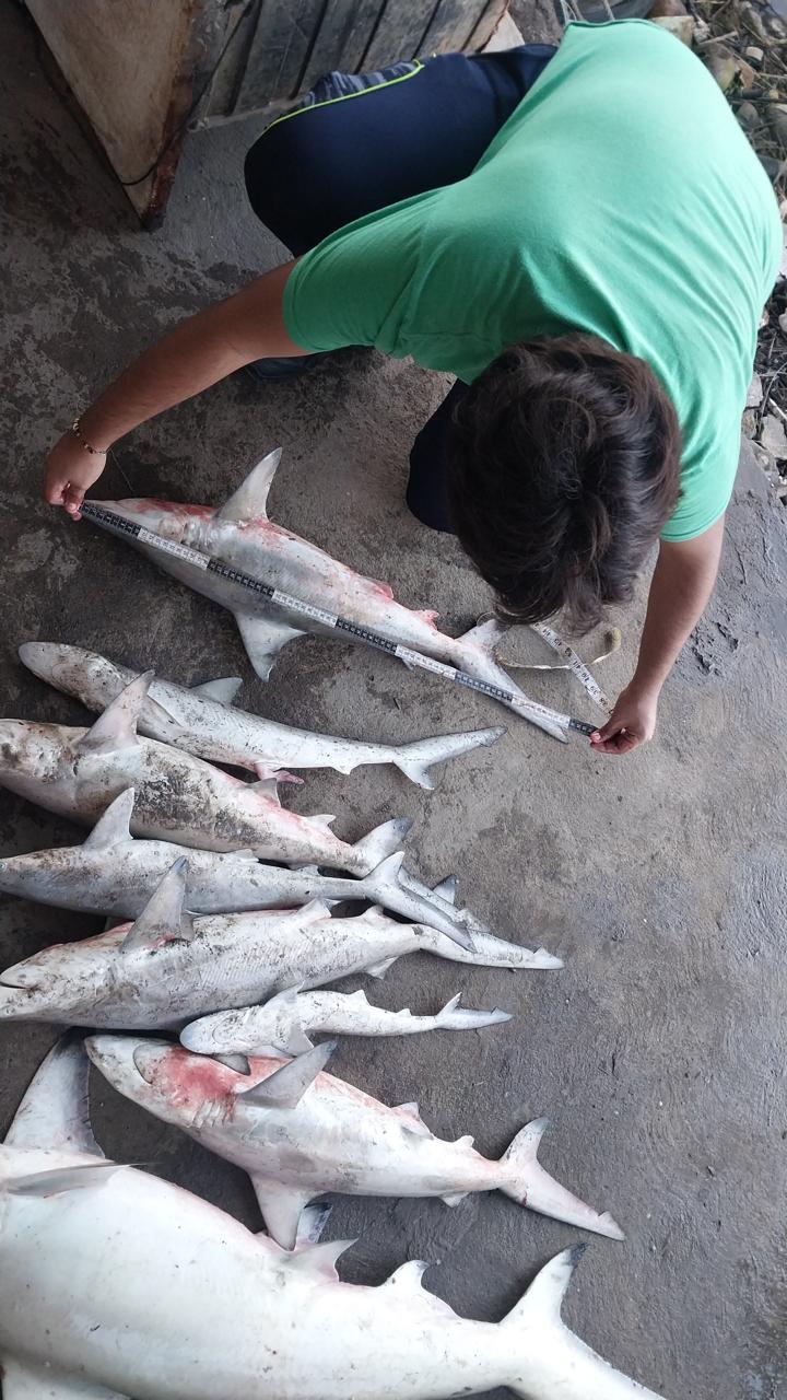 Exposición fotográfica